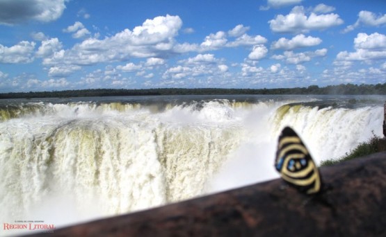 Foto 1/Cataratas del Iguaz