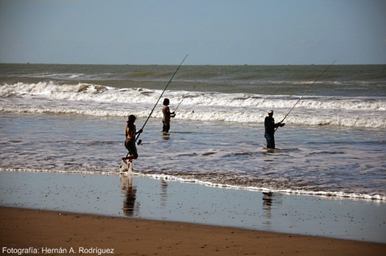 Foto 4/Pescados Pescando