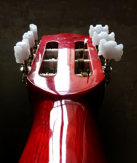 Foto 4/guitarra intima