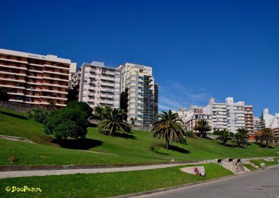 Foto 1/Postales de Mar del Plata