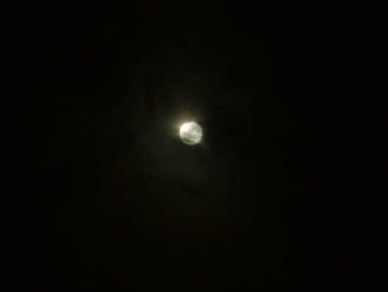 Foto 1/Esta noche de luna