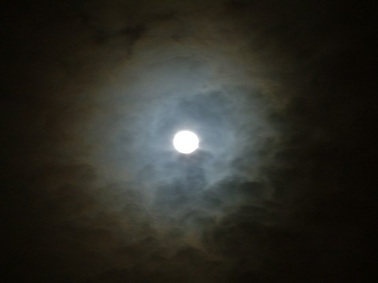 Foto 4/Esta noche de luna