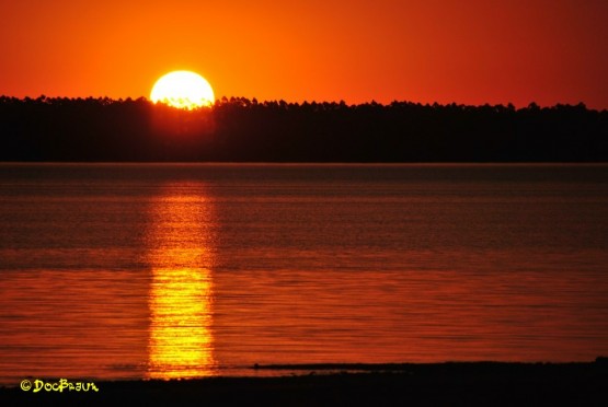 Foto 4/El ocaso del Rey Sol