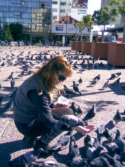 Foto 5/Entre palomas osadas