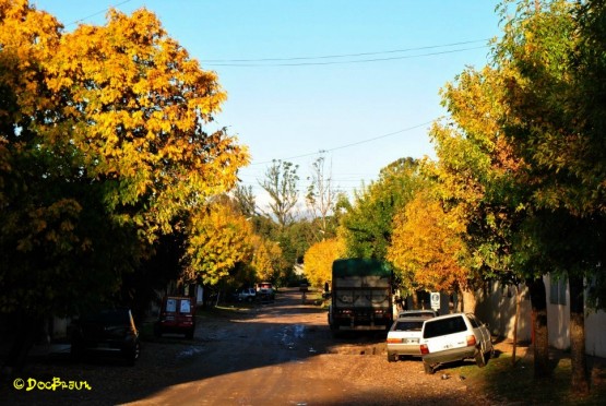 Foto 4/Colores de otoo