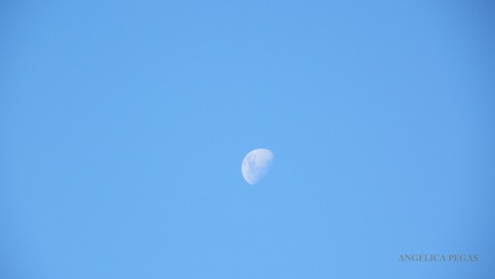 Foto 1/Luna y Dia.......