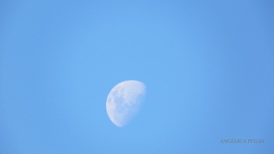 Foto 2/Luna y Dia.......