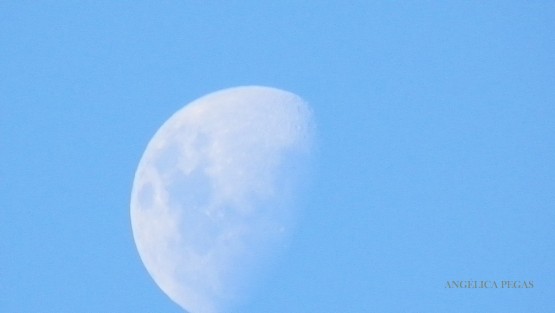 Foto 4/Luna y Dia.......