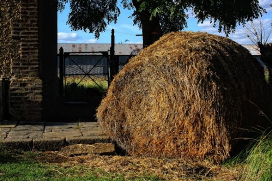 Foto 5/El Camino de la agona` S.Cayetano-Ochandio