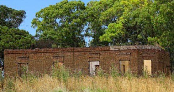 Foto 2/`El camino de la agona` Lumb