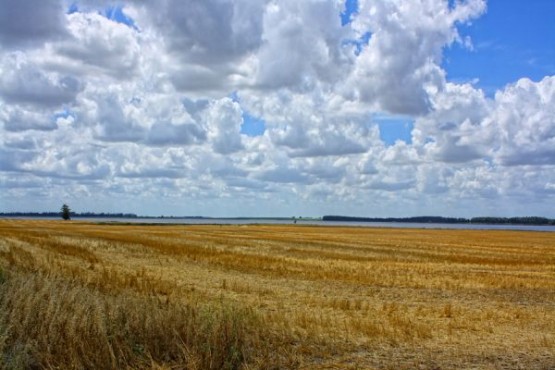 Foto 5/`El camino de la agona`N.Olivera.La Dulce