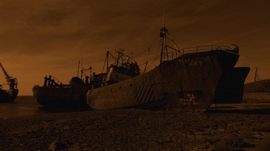 Foto 2/Gigantes olvidados en Puerto Madryn