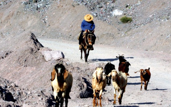 Foto 1/Cajon del Maipo