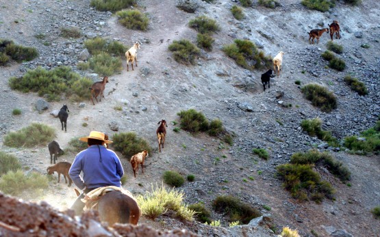 Foto 3/Cajon del Maipo