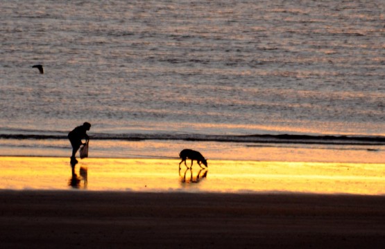 Foto 2/juntos al amanecer