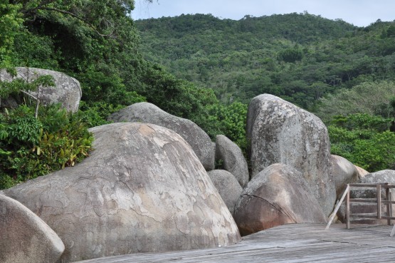 Foto 3/Estado do Santa Catarina-Brasil