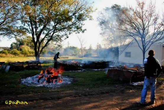 Foto 1/Domingo de asado