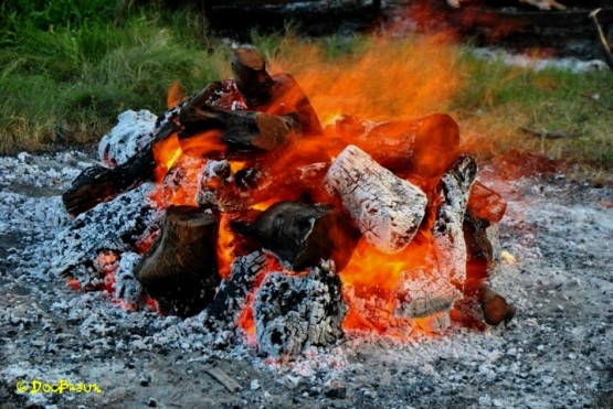 Foto 2/Domingo de asado