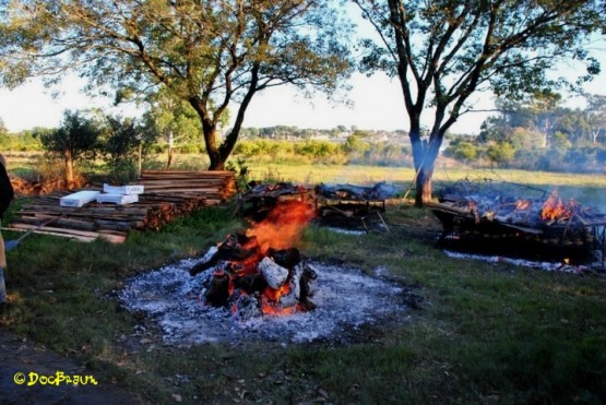 Foto 3/Domingo de asado