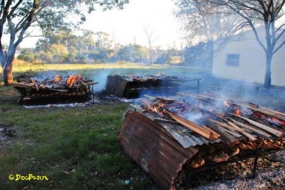 Foto 4/Domingo de asado