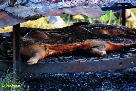 Foto 5/Domingo de asado