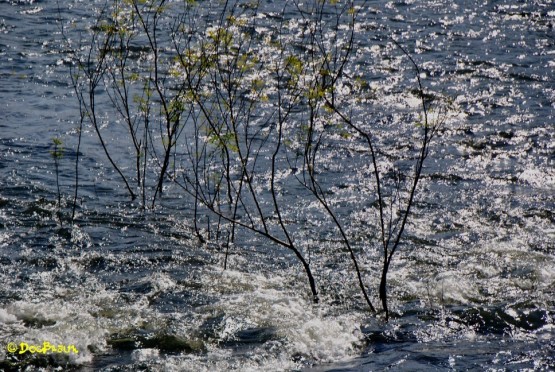 Foto 4/Reflejos en el ro