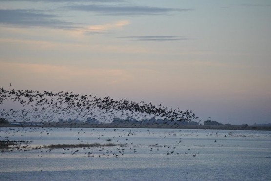 Foto 1/Atardecer en Bragado