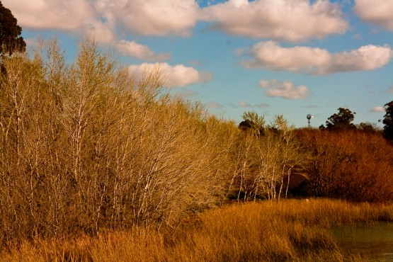 Foto 5/Laguna