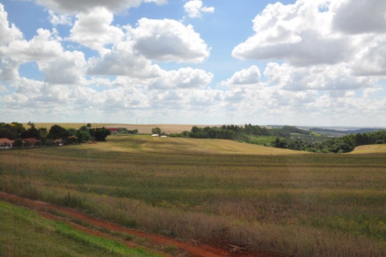 Foto 1/campos, naturaleza y sol