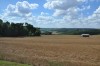 campos, naturaleza y sol