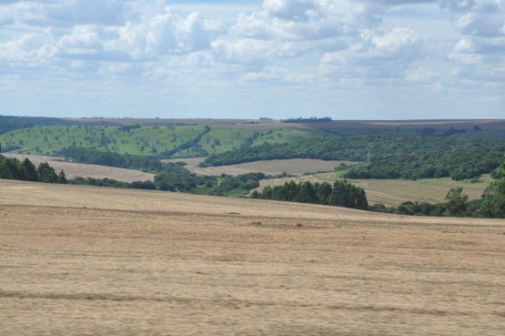 Foto 3/campos, naturaleza y sol