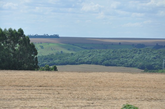 Foto 4/campos, naturaleza y sol