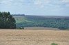 campos, naturaleza y sol