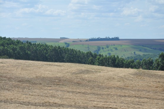 Foto 5/campos, naturaleza y sol