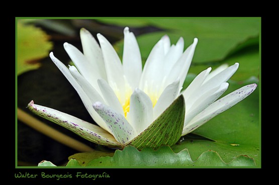 Foto 4/Colores de la naturaleza...