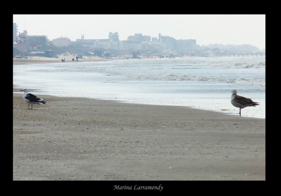 Foto 4/Aprovechado la calma invernal...