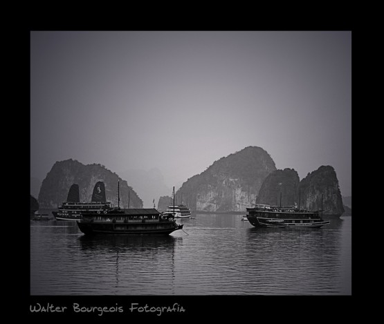 Foto 4/Navegando Ha Long Bay - V ietnam