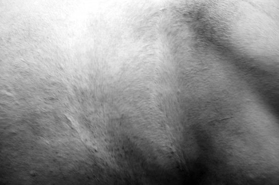 Foto 3/Horse