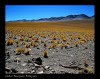 Camino de los Seismiles - Catamarca