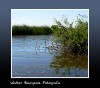 Cuidemos el agua!!! Esteros del Iber - Argentina