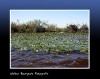 Cuidemos el agua!!! Esteros del Iber - Argentina