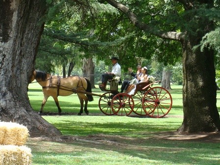 Foto 1/un casamiento distinto