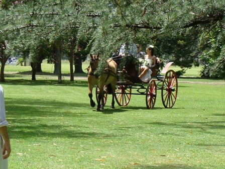 Foto 3/un casamiento distinto