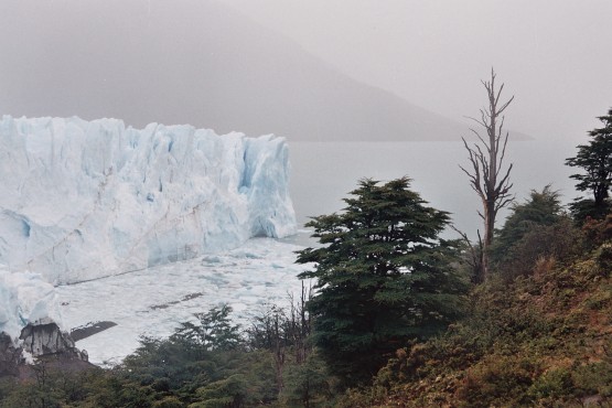 Foto 1/los ultimos glaciares del fin del mundo (2)