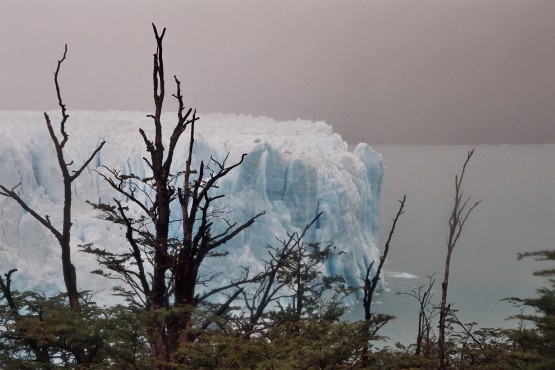 Foto 3/los ultimos glaciares del fin del mundo (2)