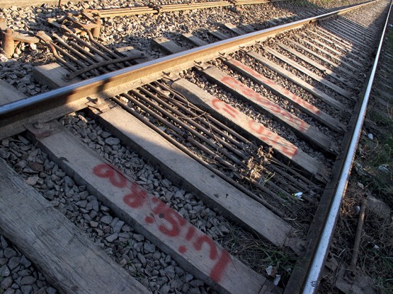 Foto 1/Manzanares: una estacin ferroviaria que fue