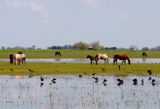 Foto 4/sinfona pastoral