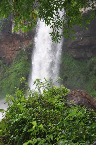 Foto 1/las cataratas del Iguazu