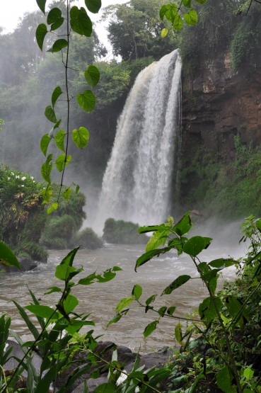 Foto 5/las cataratas del Iguazu