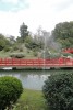 dia gris en el jardin japones